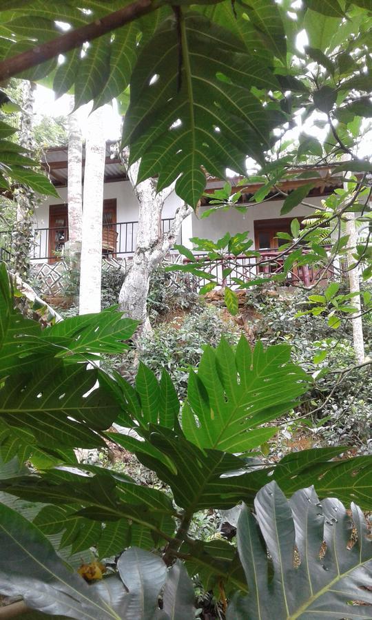 Hotel Mountain Nest Ella Exterior foto