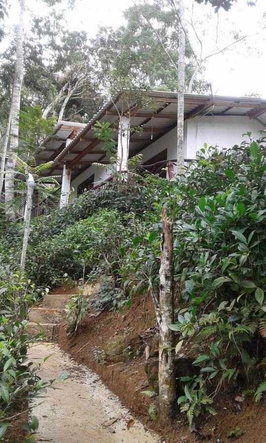 Hotel Mountain Nest Ella Exterior foto